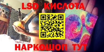 шишки Изобильный