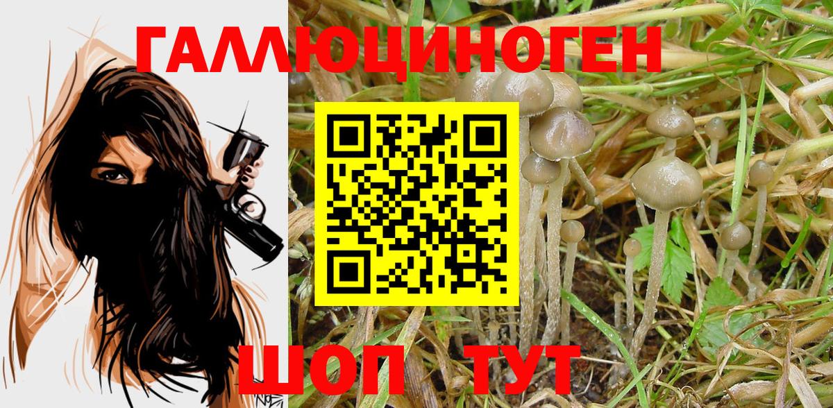 Псилоцибиновые грибы Magic Shrooms Балтийск